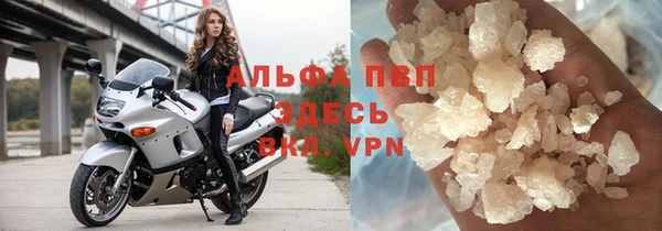 хмурый Арсеньев