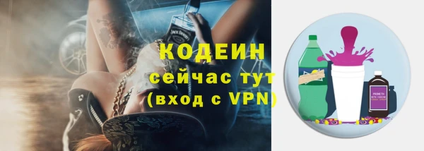 хмурый Арсеньев