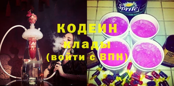 хмурый Арсеньев
