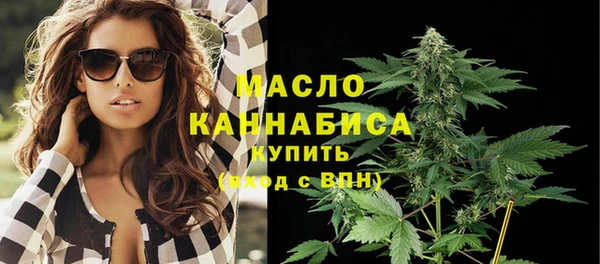 хмурый Арсеньев